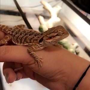 Meet your Posher, Hailey